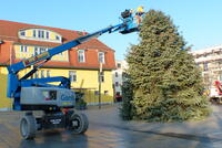 Bild vergrern: Aufstellung des Weihnachtsbaumes und Anbringen der LED-Beleuchtung auf dem Marktplatz