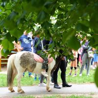 Bild vergrern: Ponyreiten