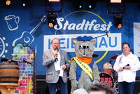 Bild vergrößern: Stadtfest Heidenau 2023
