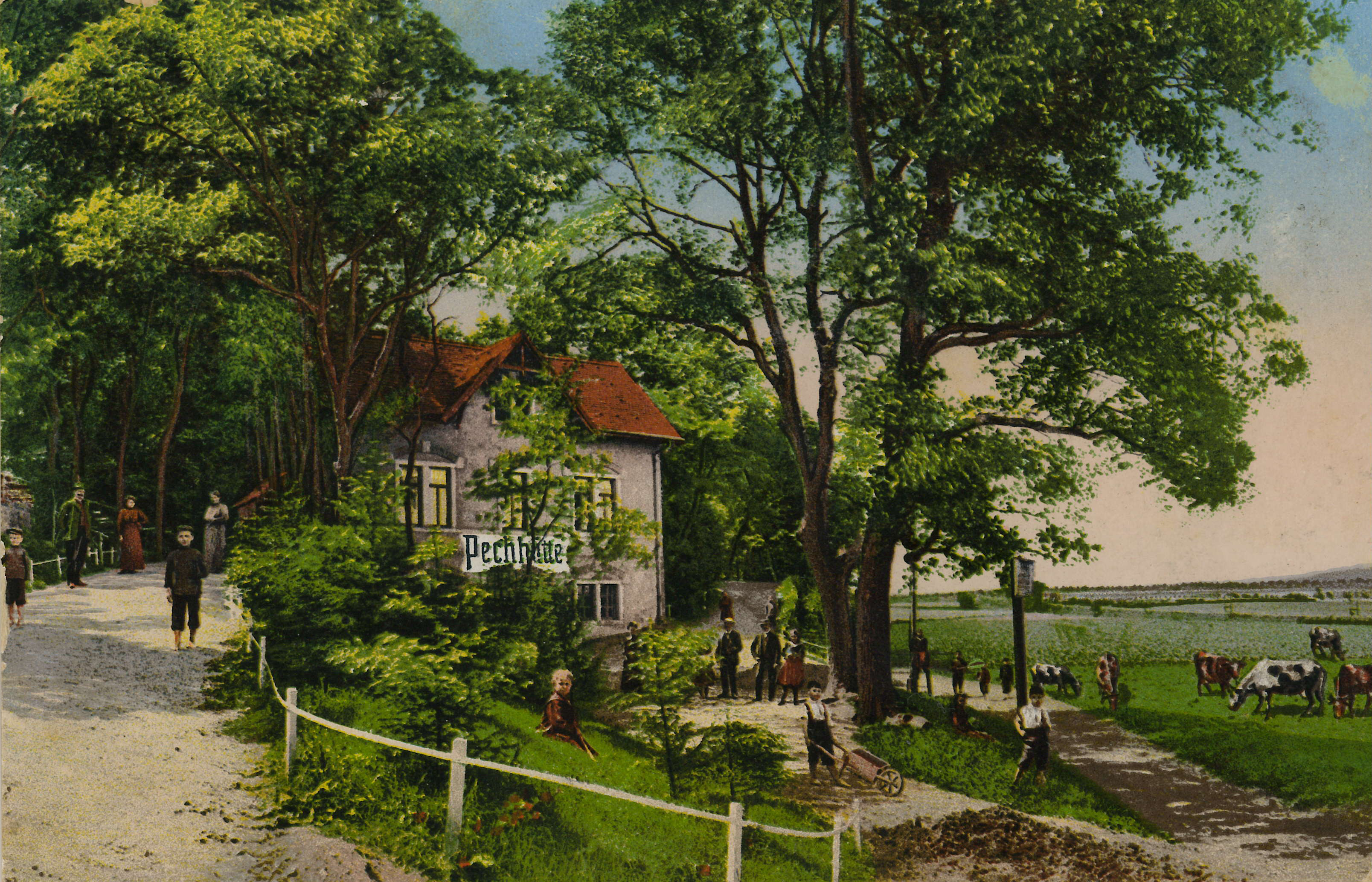 Bild vergrößern: Kolorierte Bildseite einer Ansichtskarte, Motiv: Pechhütte, ca. 1905/10, Fotograf: unbekannt