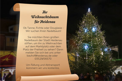 Bild vergrößern: Weihnachtsbaum gesucht!
