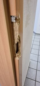 Bild vergrößern: Sachbeschädigung am öffentlichen WC im Stadthaus