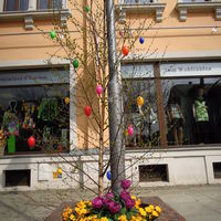 Bild vergrößern: Osterdekoration 2014