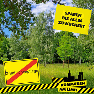 Bild vergr&ouml;&szlig;ern: Gr&uuml;nfl&auml;chen