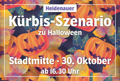 Bild vergr&ouml;&szlig;ern: K&uuml;rbis-Szenario 2026